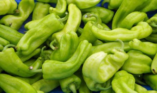 不同品种的辣椒都各有什么用处呢（不同种类的辣椒）