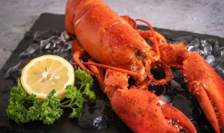 龙虾血液是什么颜色（龙虾体内的血液是什么颜色）