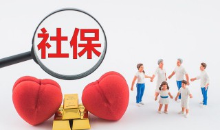深圳的社保怎么查询（深圳市如何查询社保）