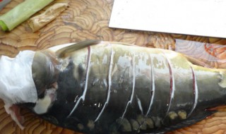 三道鳞怎么处理干净呢 三道鳞干净吗