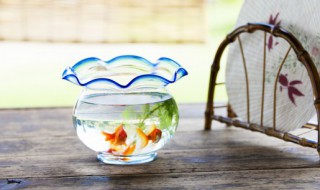 梦到鲤鱼 梦到鲤鱼跳出水面