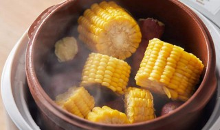 玉米蒸多久（玉米蒸多久能蒸熟）