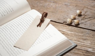 选择人生作文（选择人生作文800字议论文）