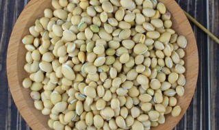 白扁豆可以长期吃吗(白扁豆可以长期服用吗)