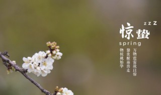 惊蛰能不能剪头发 惊蛰适合剪头吗