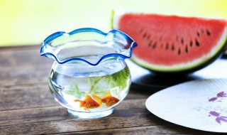 如何繁殖孔雀鱼 孔雀鱼自己繁殖