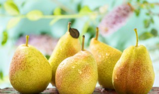 梦到梨树上结了好多梨 梦到梨树上结了好多梨并吃梨