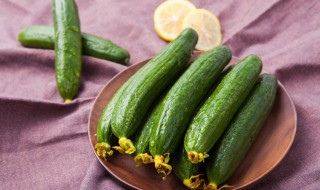 梦到吃黄瓜 梦到摘黄瓜吃黄瓜是什么意思
