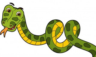 女人梦见被蛇咬手（女人梦见被蛇咬手是什么意思）