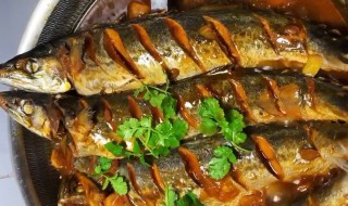 怎样炖鲅鱼好吃 怎样炖鲅鱼好吃?