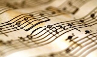 多么想要紧紧握住你的手是什么歌（紧紧的握住你的手是啥歌）