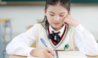 小学生300字作文（小学生300字作文一篇）