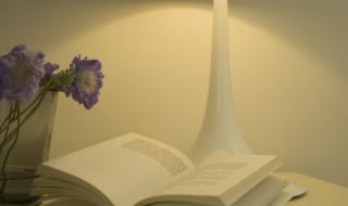 蝠组词和造句（蝙蝠的蝠怎么组词造句）