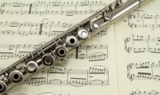 小生不才未得姑娘青睐是什么歌（小生不才,未得姑娘青睐什么歌）