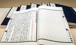 柏的组词和造句（柏树的造句怎么写）