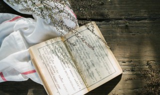 贺组词语（轿组词语）