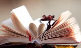 甲的组词和造句 用甲组词造句