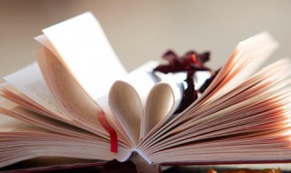 稻的组词和造句（稻的组词?）