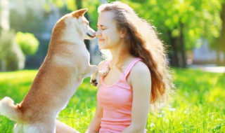 如何让狗在炎热的天气里保持凉爽（狗狗如何度过炎热的夏天）