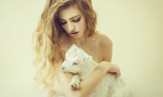 如何去除狗狗身上的疣（狗狗得疣的症状图片）