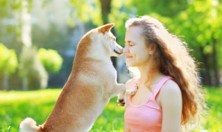 如何让狗狗保持健康体重(怎么样给小狗控制体型)