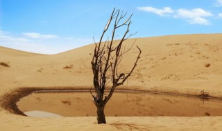 如何从流沙中逃生（遭遇流沙怎样求生）