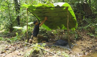 如何在丛林中求生 丛林野外生存求生