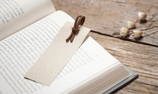 西游记表达了作者怎样的情感 西游记这本书表达了作者怎样的思想感情