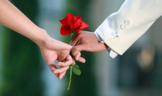 朴实的婚姻语录(关于婚姻的经典语录,句句精辟)