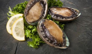 煮熟的鲍鱼隔夜能吃吗（煮过的鲍鱼隔夜能吃吗）