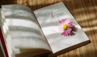 烦人的说说（烦人的说说短语）