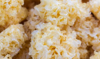 银耳能生吃吗 泡发的银耳能生吃吗