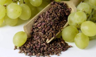 葡萄籽的作用与功效 葡萄籽的作用与功效与作用