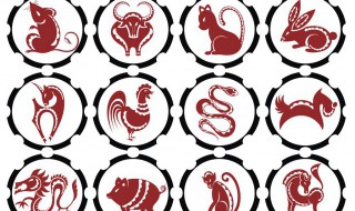 十二生肖分别代表什么五行属性 12生肖五行属什么五行属性