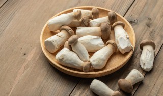 鲍菇和什么相克（杏鲍菇和鸡肉相克吗）