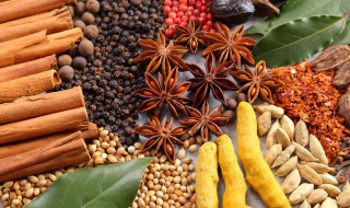 草果仁的功效与作用 草果仁的功效与作用禁忌