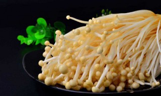 吃金针菇会胖吗（晚上八点吃金针菇会胖吗）