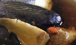 灵芝枸杞乌鸡汤的做法（灵芝炖乌鸡汤）