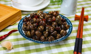 螺丝的功效和作用（螺丝功效与营养价值）