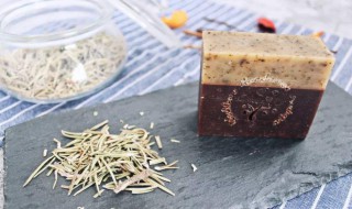 白榄根的功效 白榄根的功效与作用及食用方法