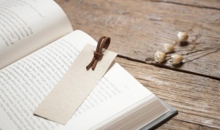 此生不遇有心人什么意思 此生只遇有心人