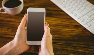 x开头的英文名大全（x开头的名字英文）