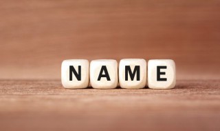 z开头的英文名大全（z开头名字大全英文名字）