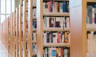 摩登时代小说简介 摩登时代(2017版 小说