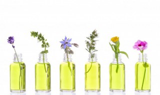 请问什么是香水的前调中调后调啊 香水的前调 中调后调