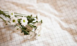 桌布发霉了怎么清洗（桌布发霉怎么办）