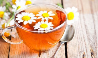 冰茶是什么茶 什么是冰茶?