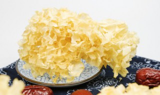 银耳泡好之后可以放多久（银耳泡好后能放多久）