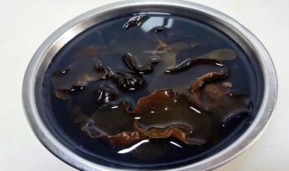 木耳泡一天有毒吗 木耳泡一晚有毒吗