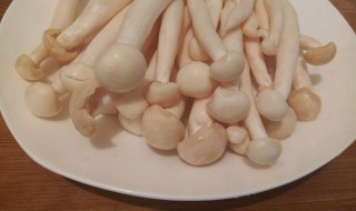 海鲜菇和什么食物相克 海鲜菇食物禁忌搭配